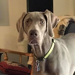 Meet your Posher, Michele